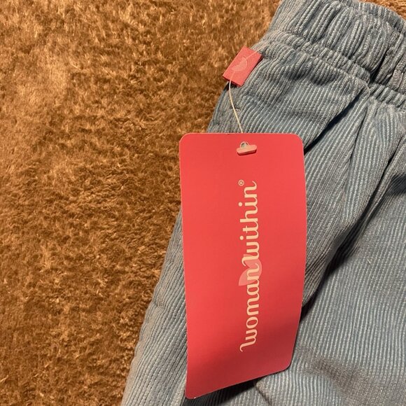 NWT Woman Within Pants Womens 18WP Classic Corduroy Light Blue Pull On Stretch - Picture 4 of 8